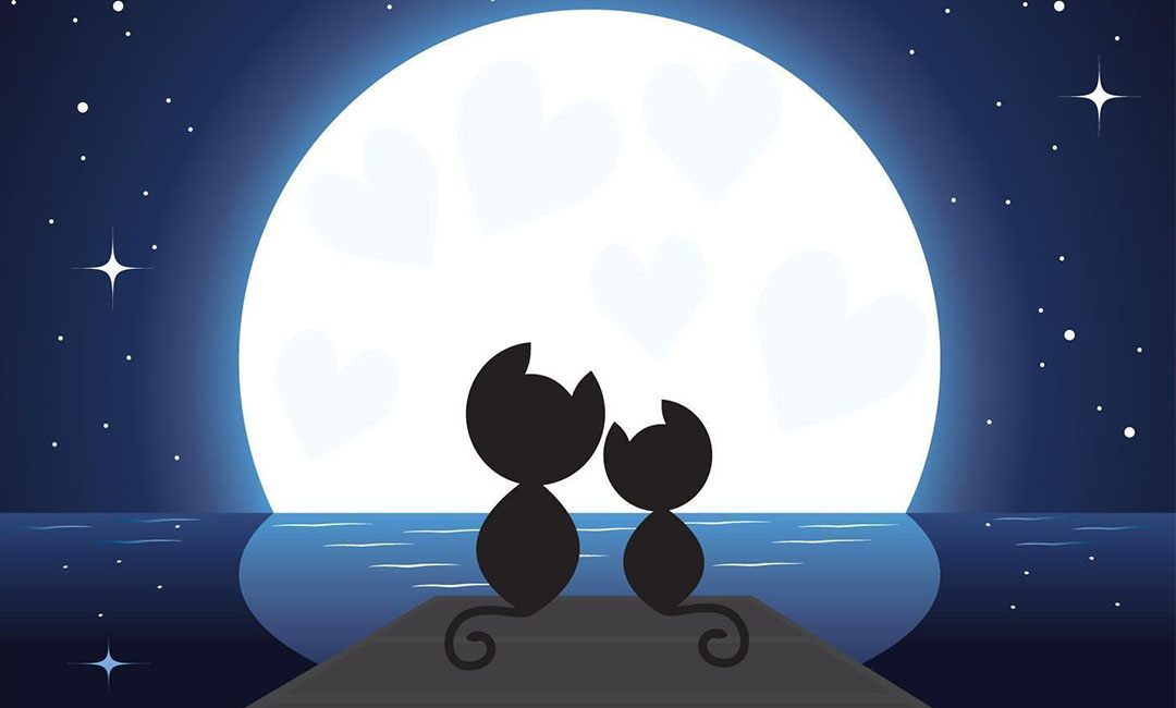 赤峰潮客汇微信活动策划案例